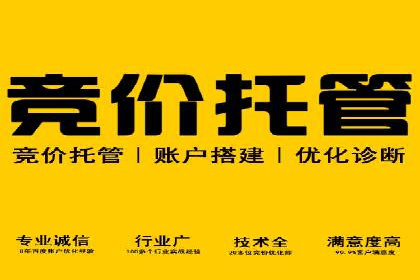 包年竞价技巧分享：案例解读高回报策略